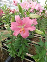 [4528 VH04 No01.JPG]